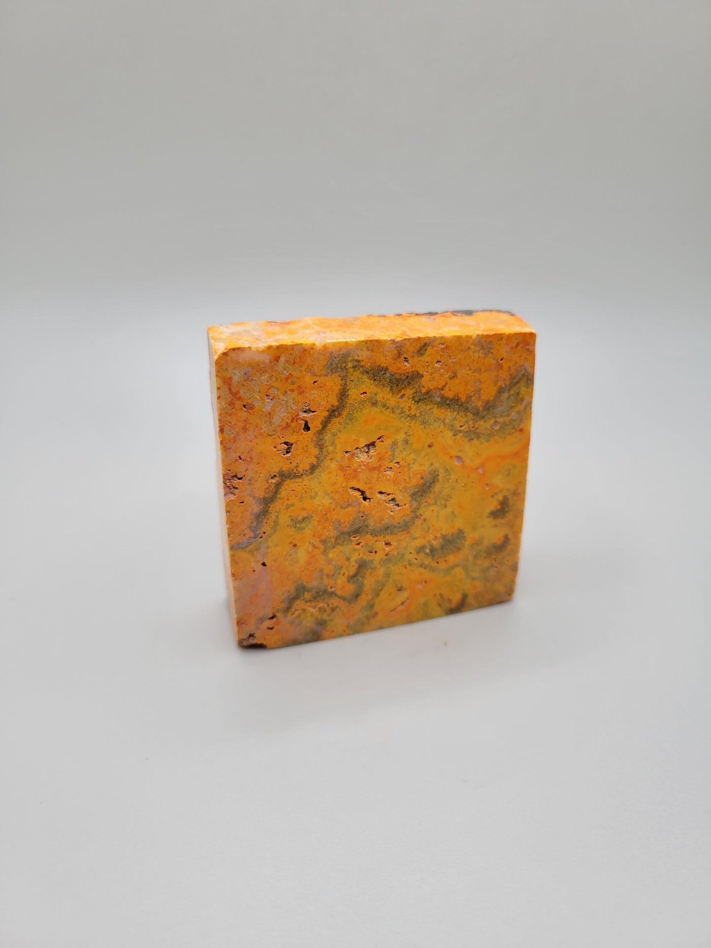 Bumblebee Jasper Slab E