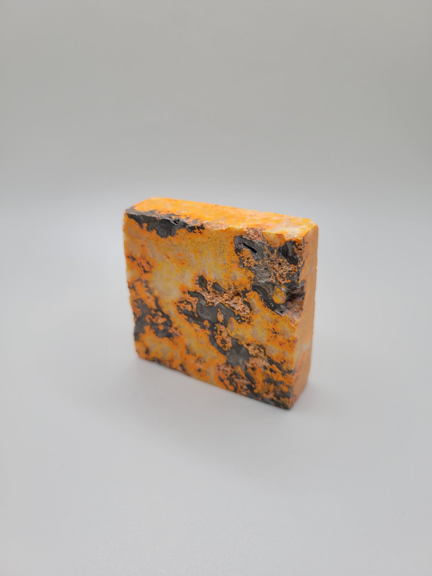 Bumblebee Jasper Slab E