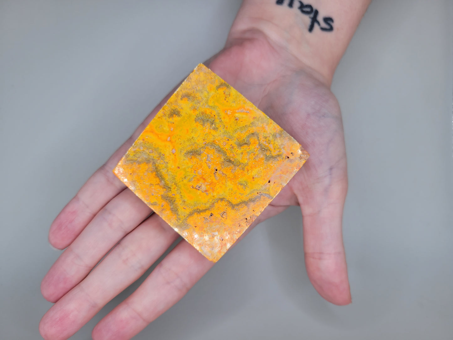 Bumblebee Jasper Slab E