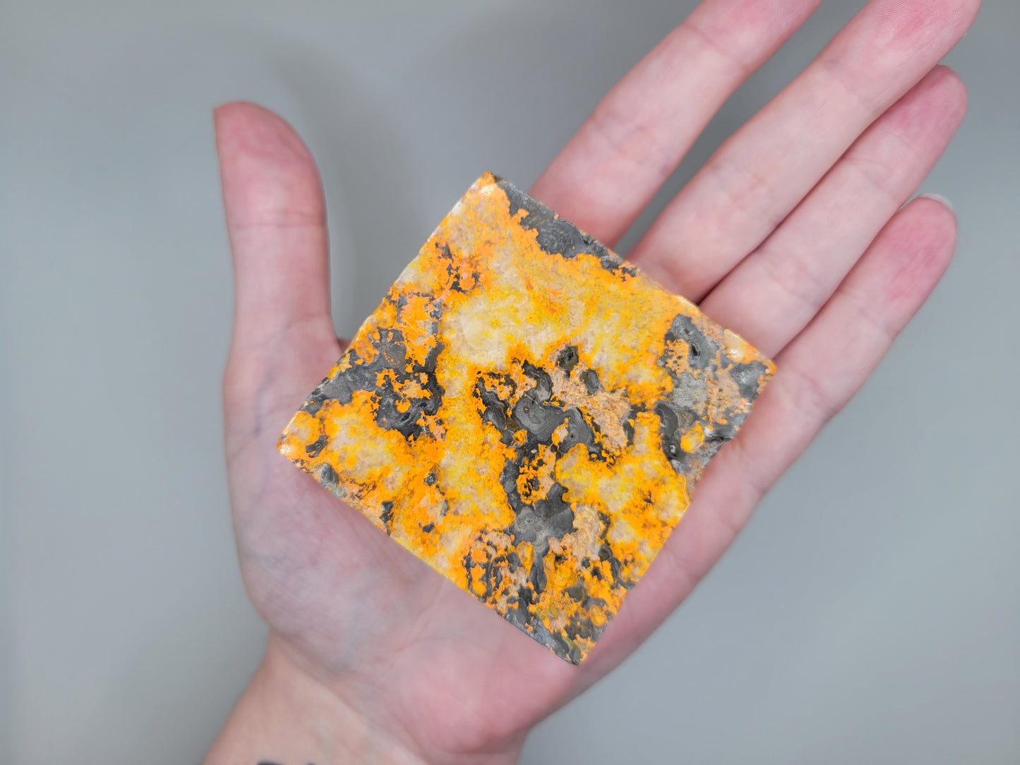 Bumblebee Jasper Slab E