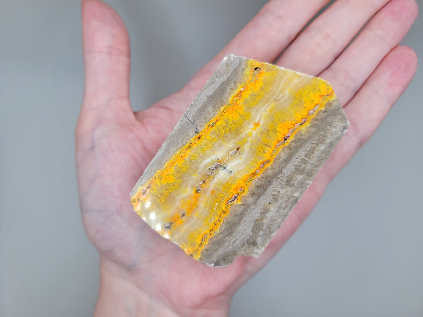 Bumblebee Jasper Slab A