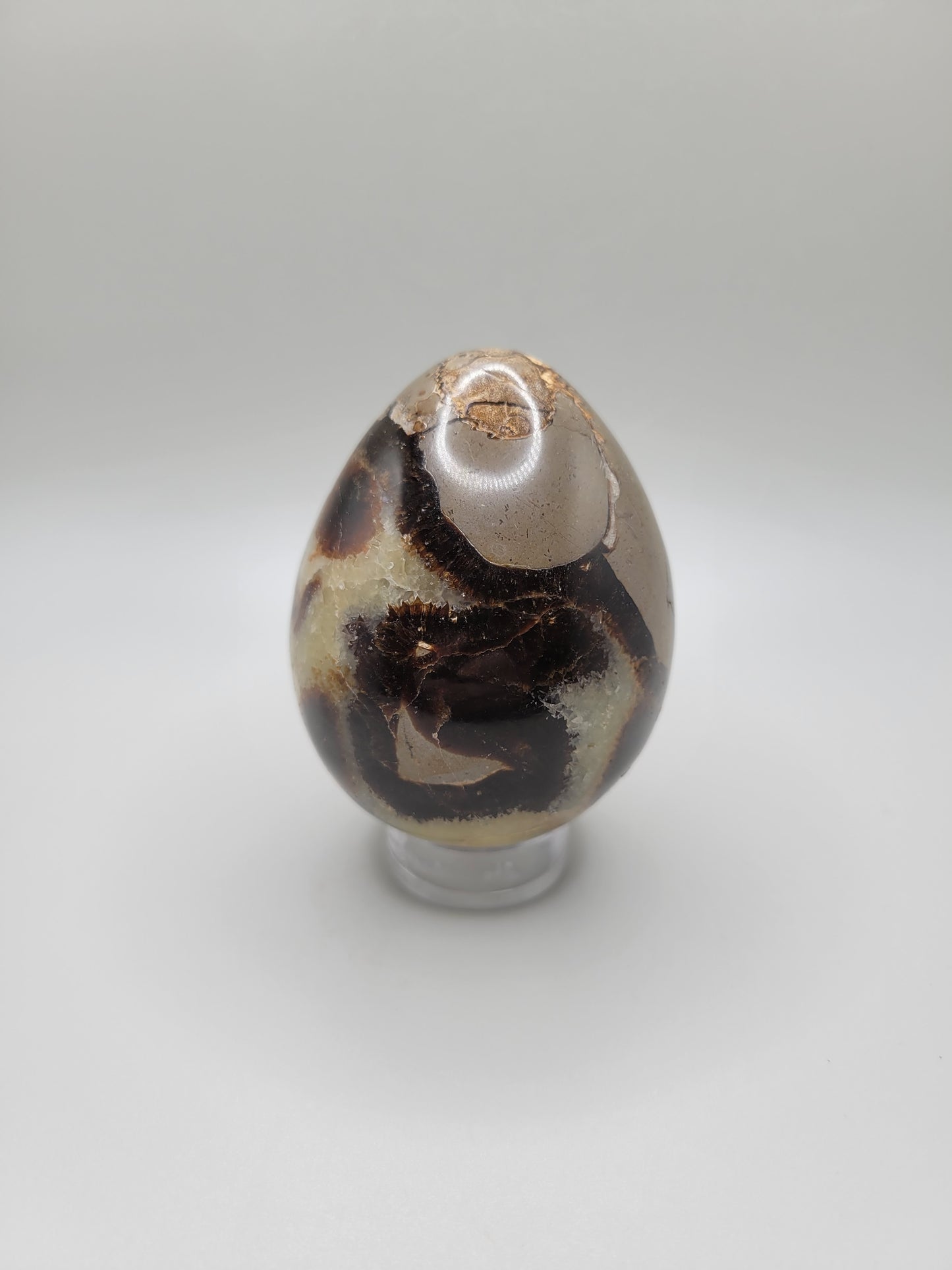 Septarian Eggs - Large