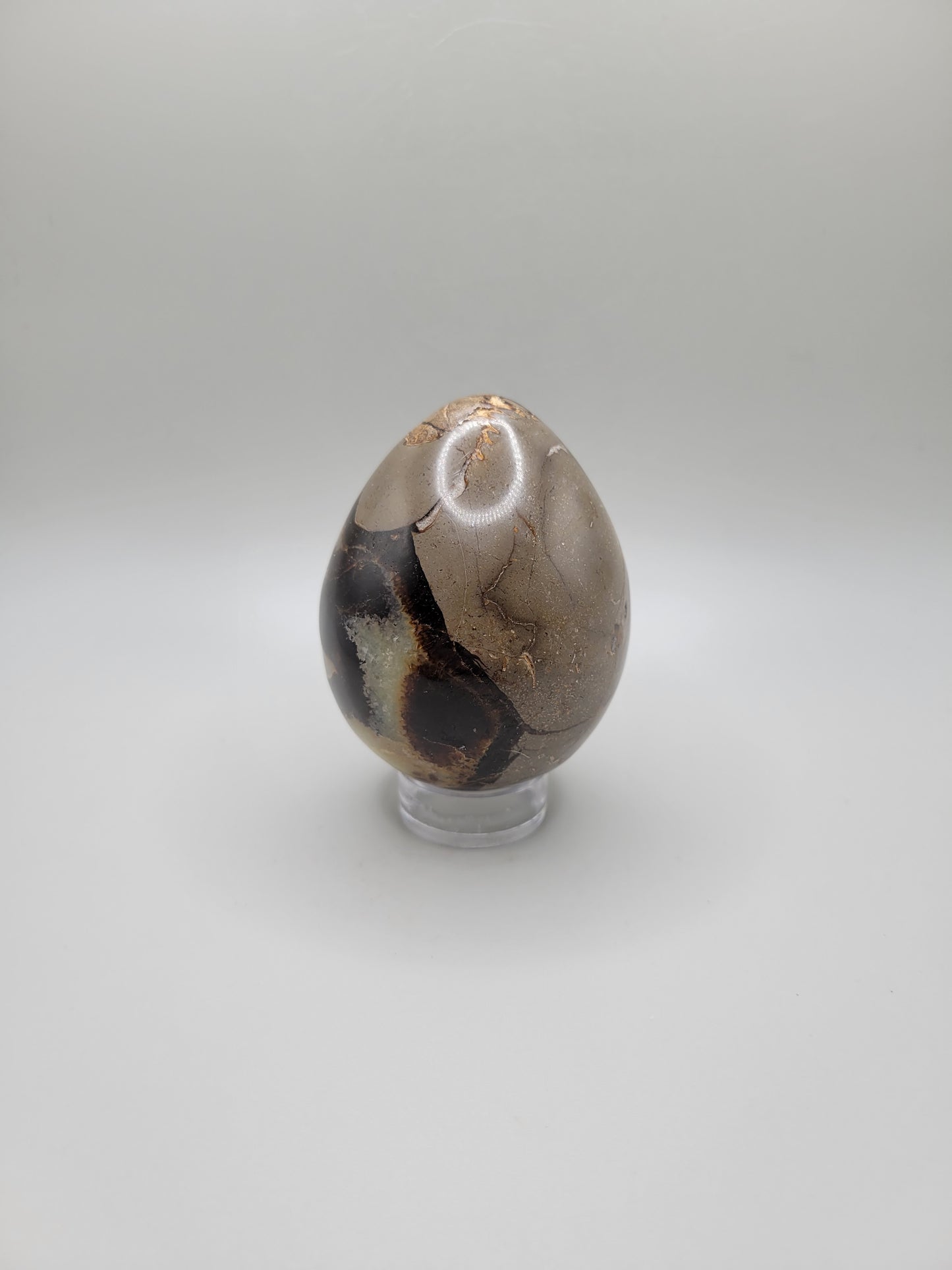 Septarian Eggs - Large