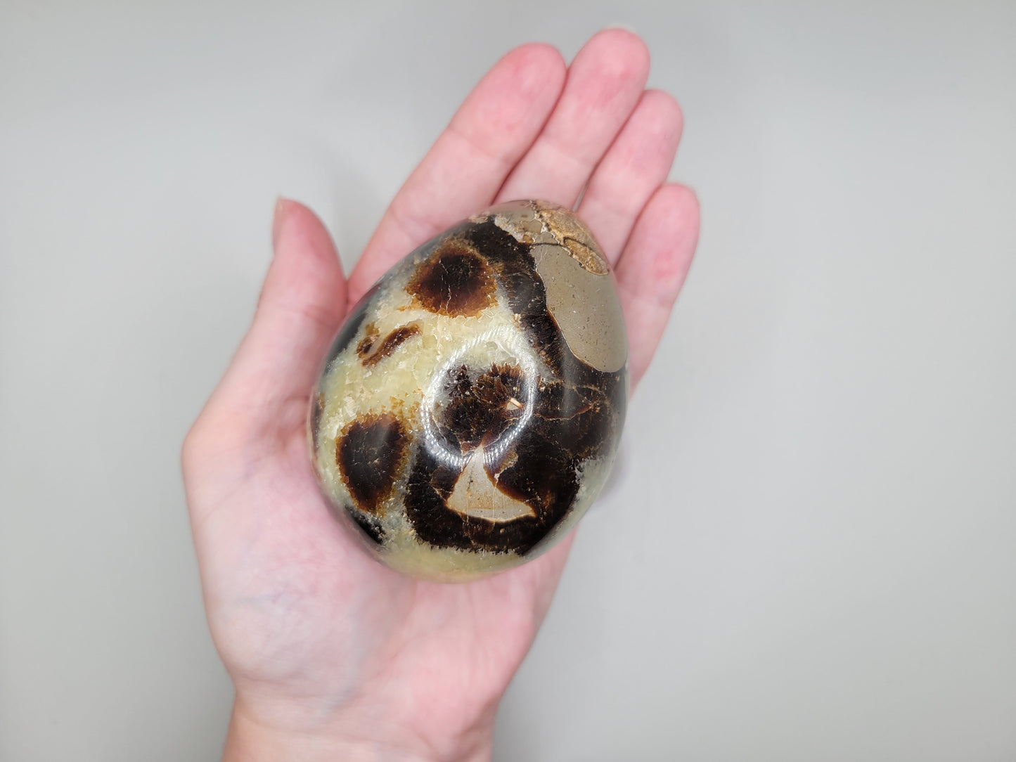 Septarian Eggs - Large
