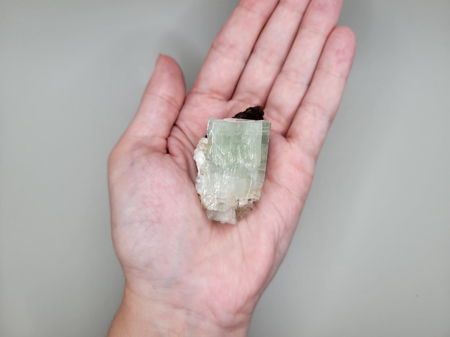 Green Apophyllite Freeform