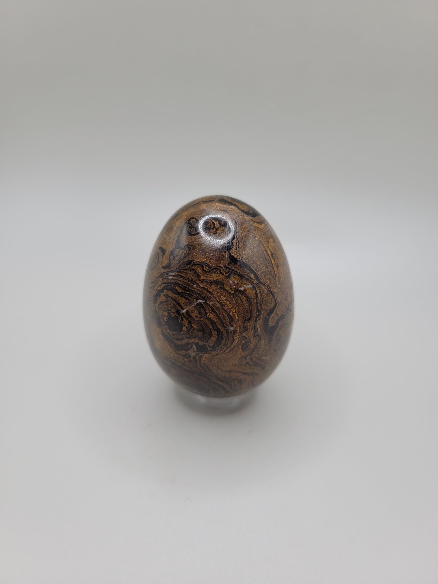 Stromatolite Egg