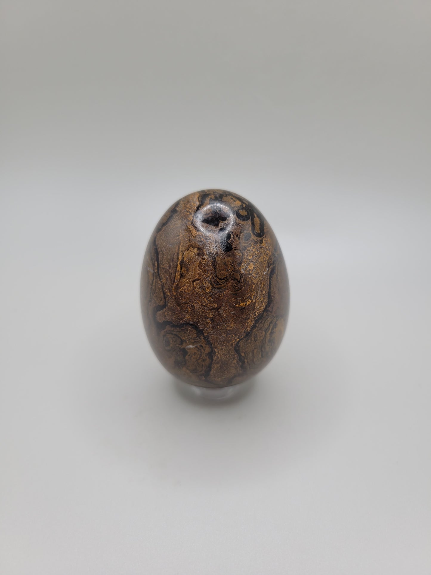 Stromatolite Egg