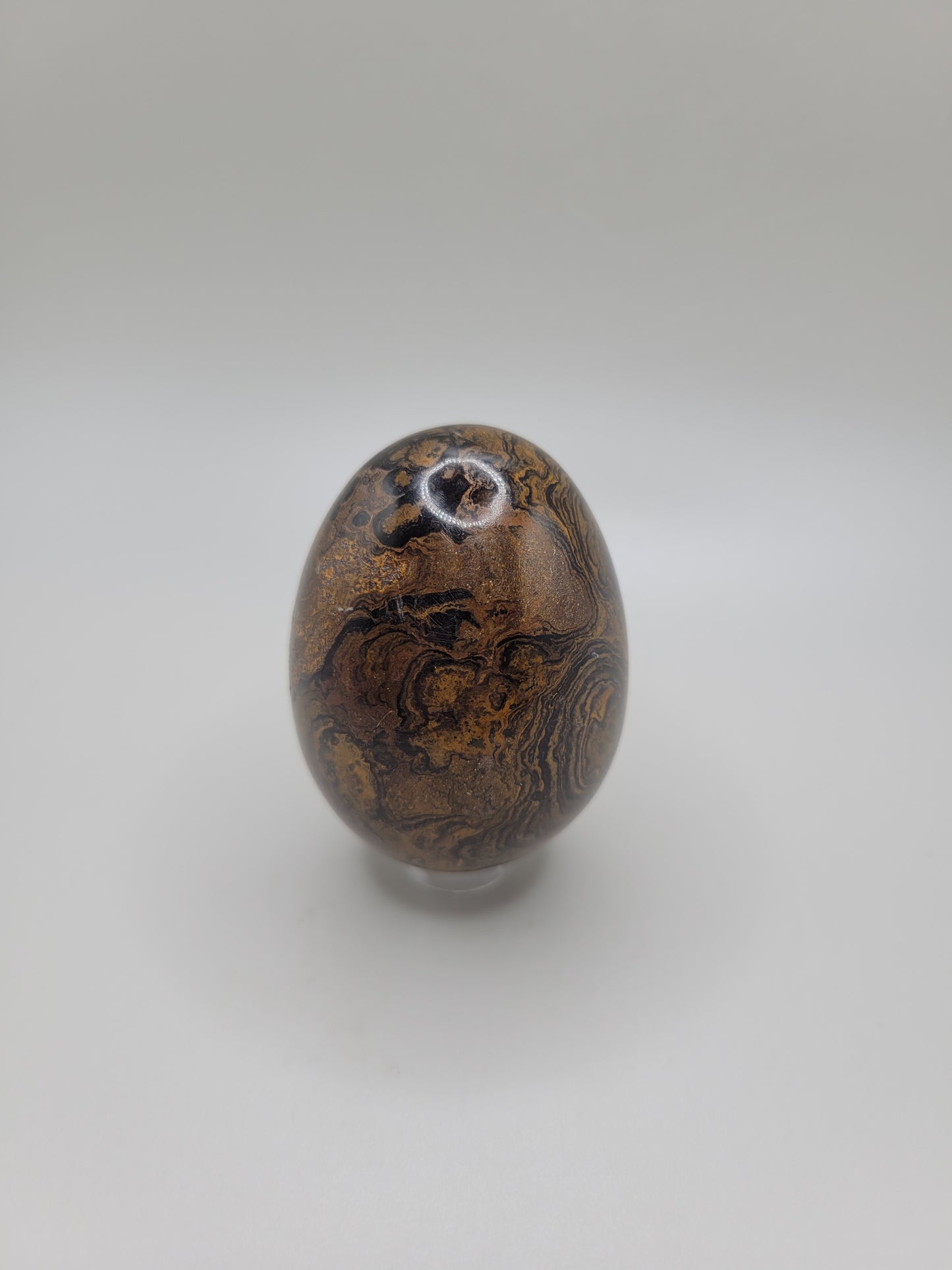 Stromatolite Egg