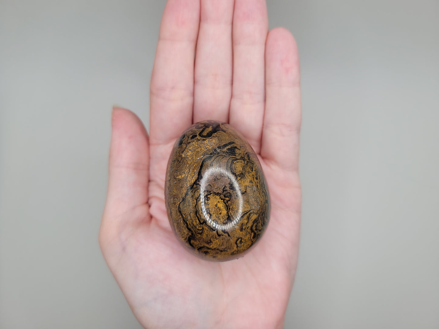 Stromatolite Egg