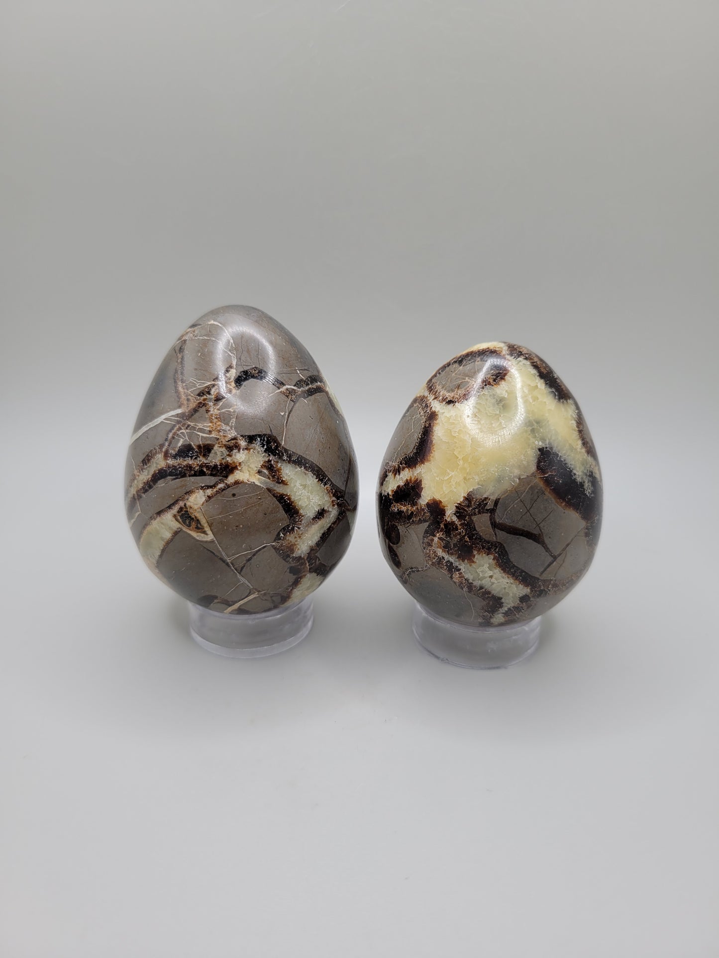 Septarian Eggs - Large