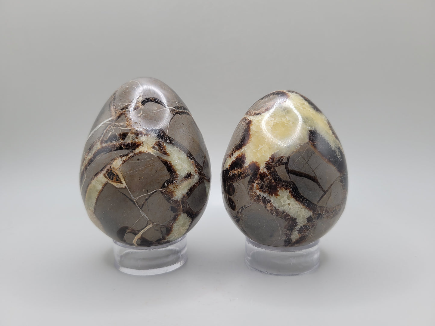 Septarian Eggs - Large