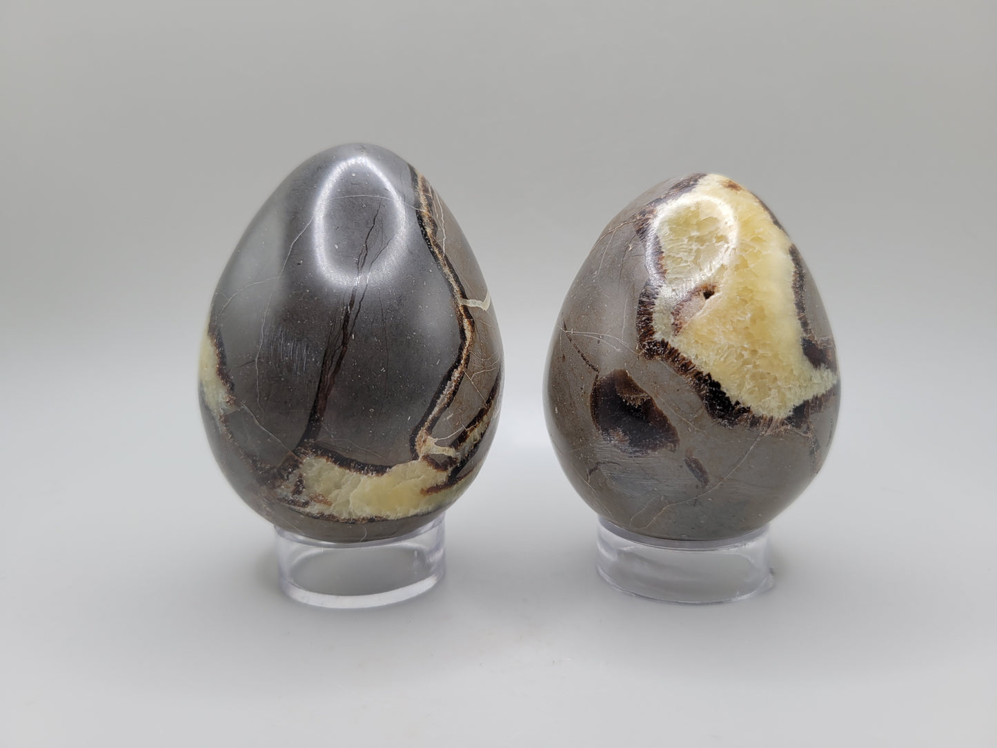 Septarian Eggs - Large