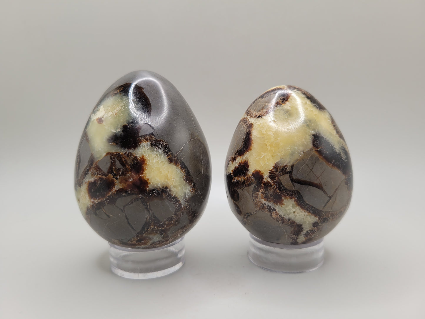 Septarian Eggs - Large