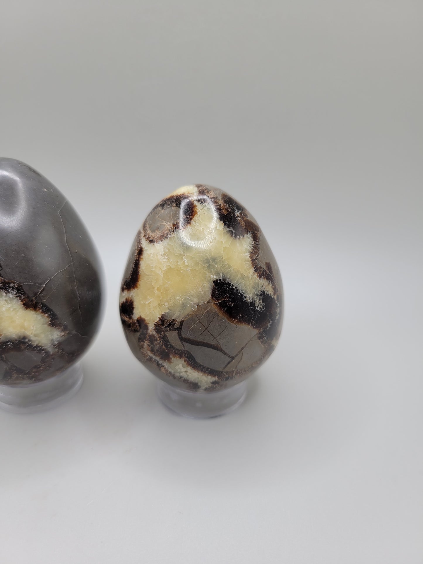 Septarian Eggs - Large