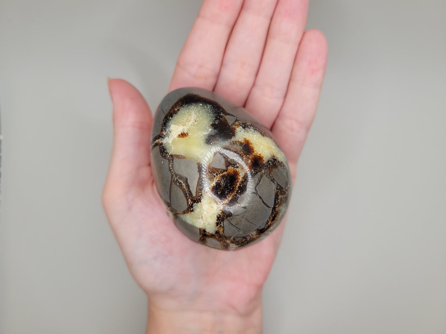 Septarian Eggs - Large