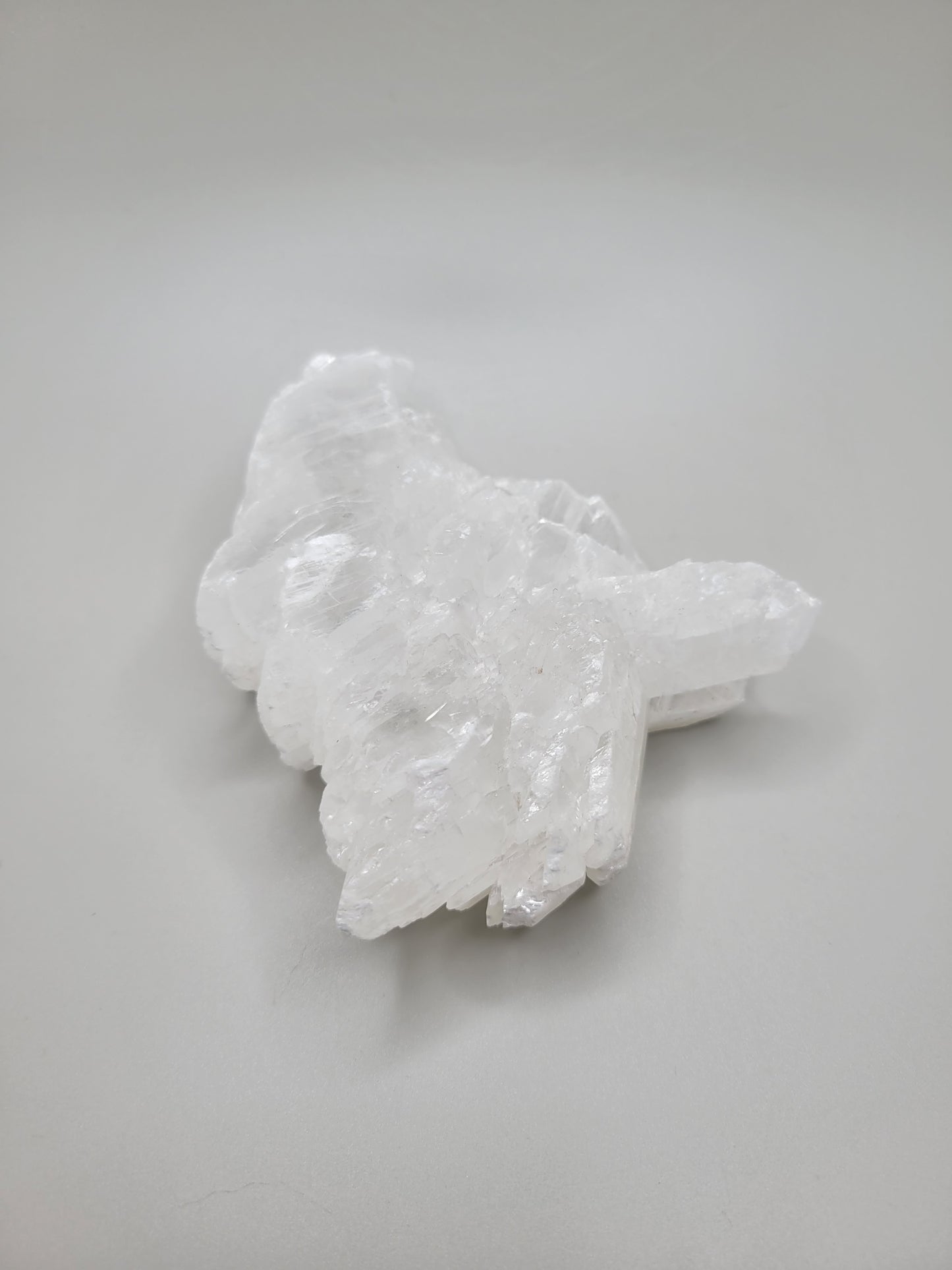 Fishtail Selenite