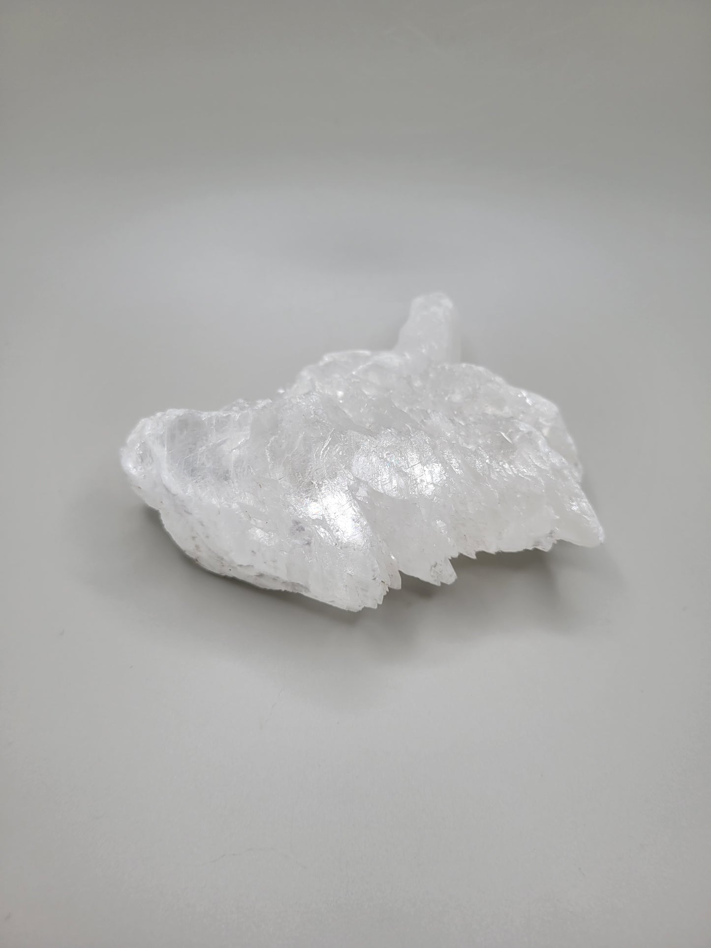 Fishtail Selenite