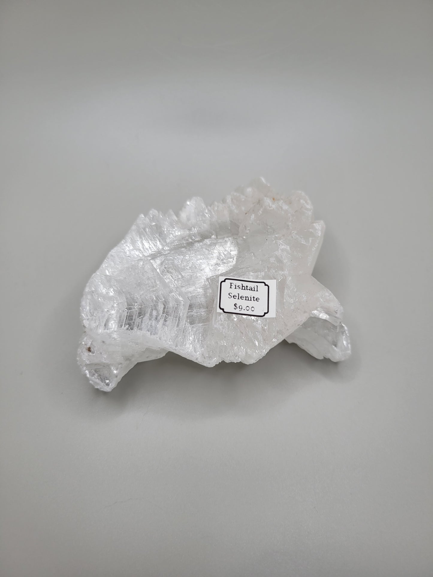 Fishtail Selenite