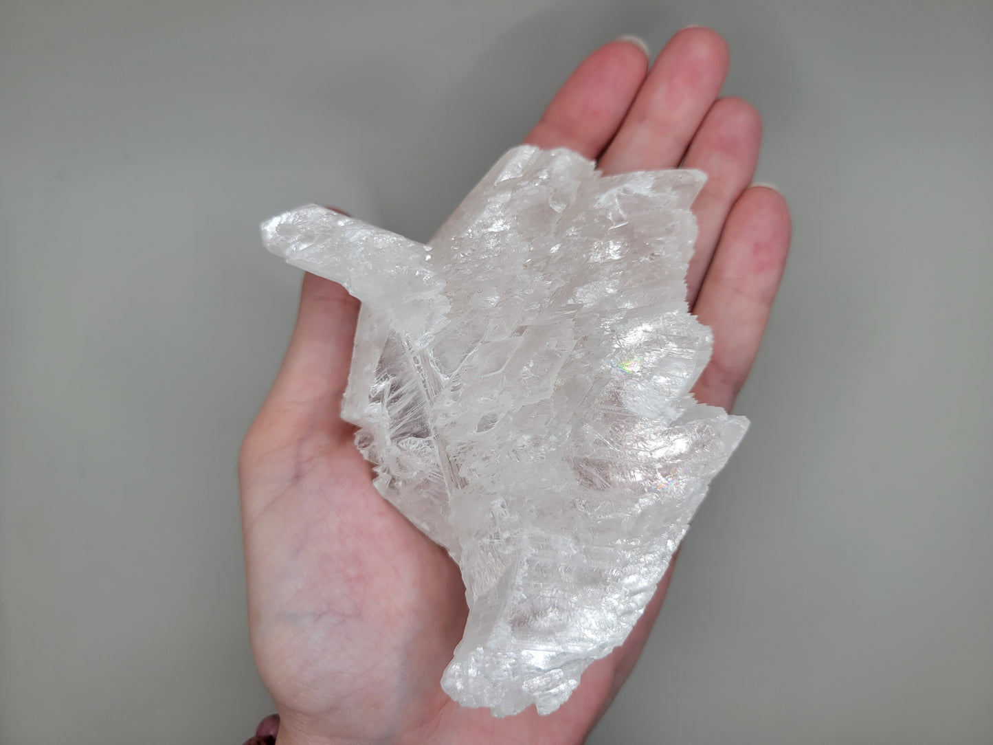 Fishtail Selenite