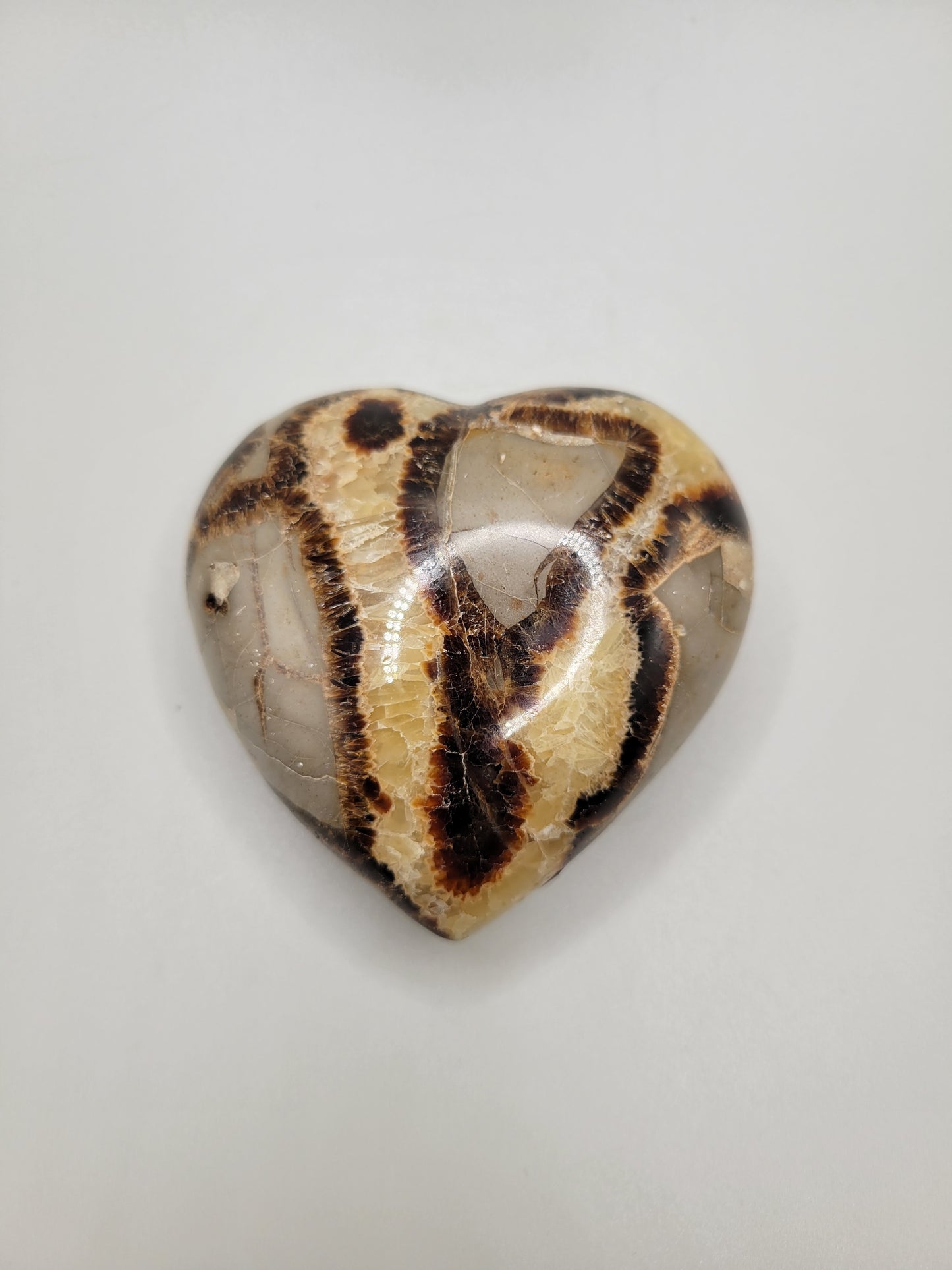 Septarian Heart