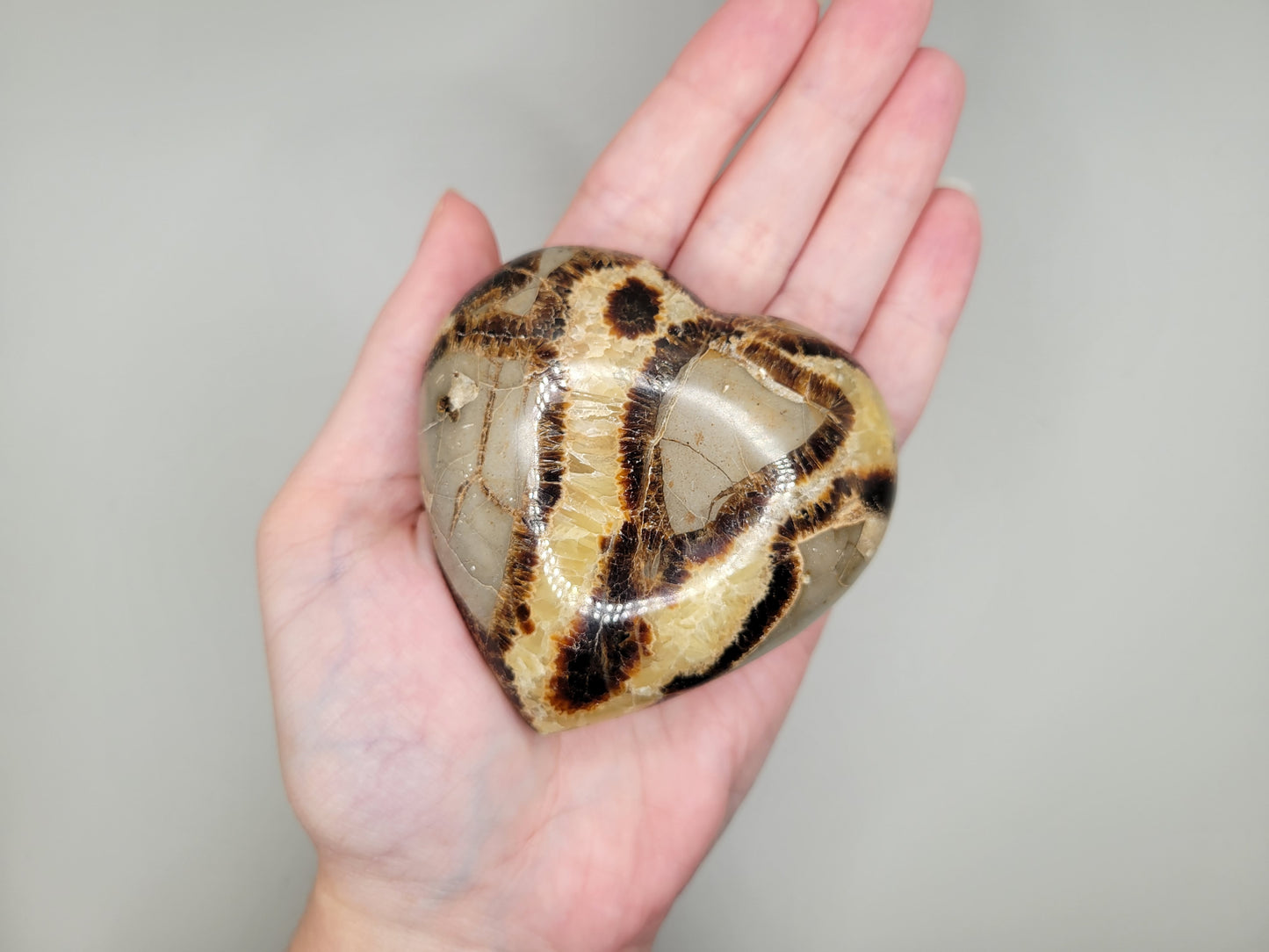 Septarian Heart
