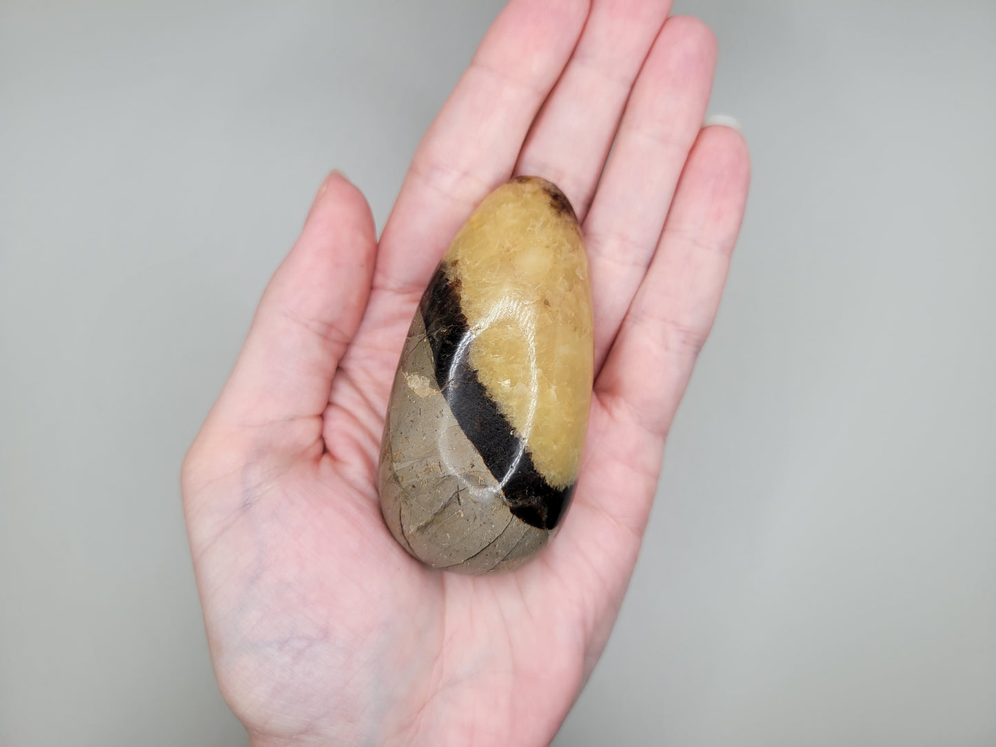 Septarian Massage Stone