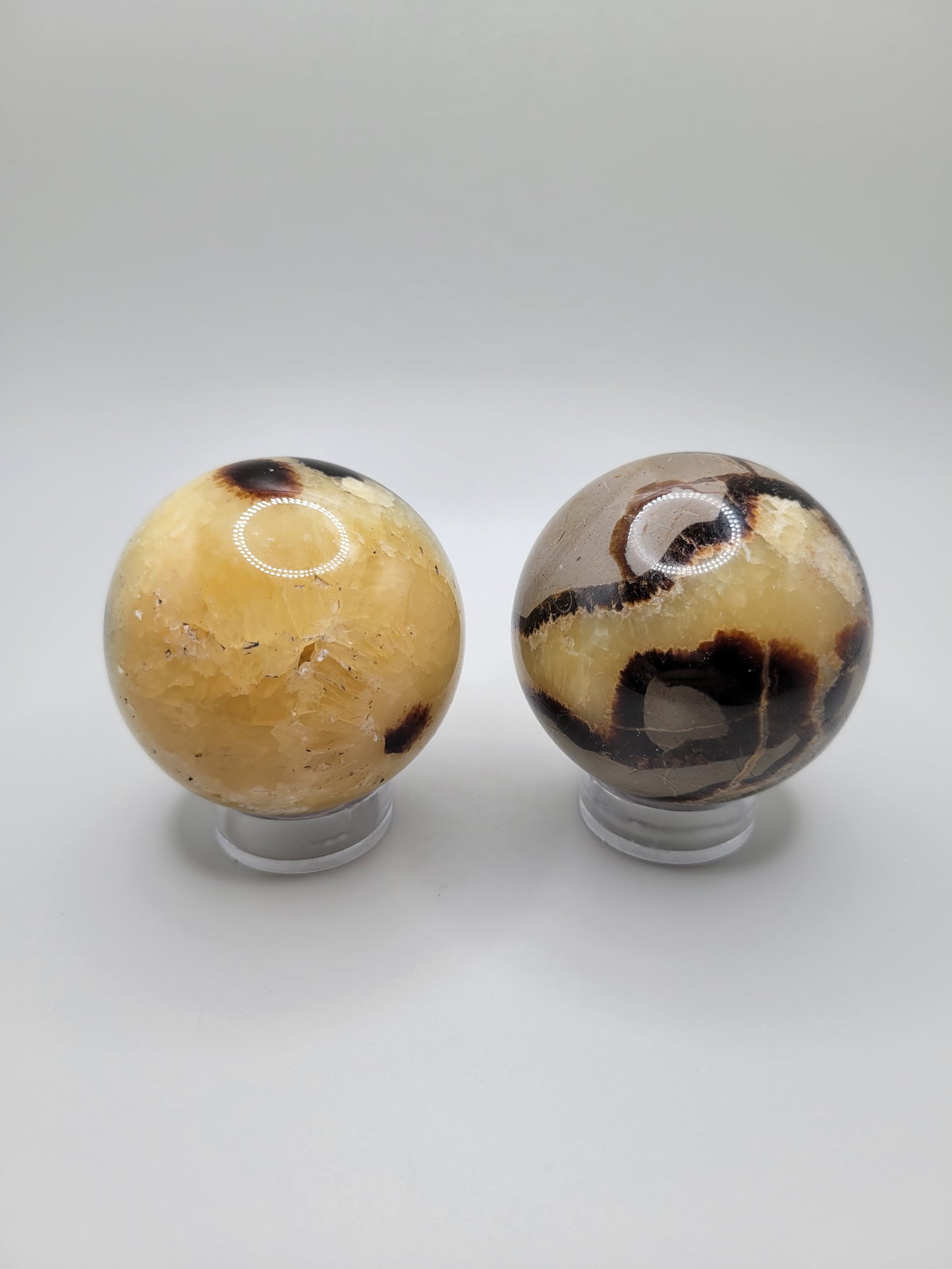 Septarian Spheres