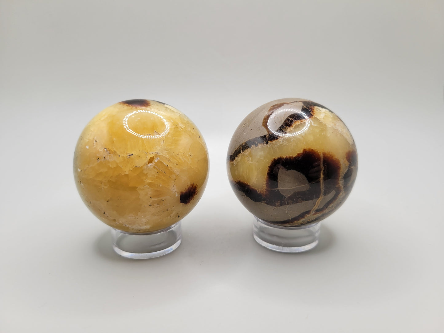 Septarian Spheres
