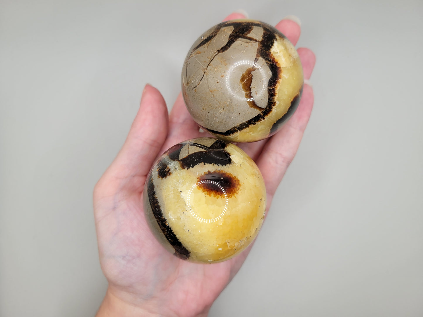 Septarian Spheres