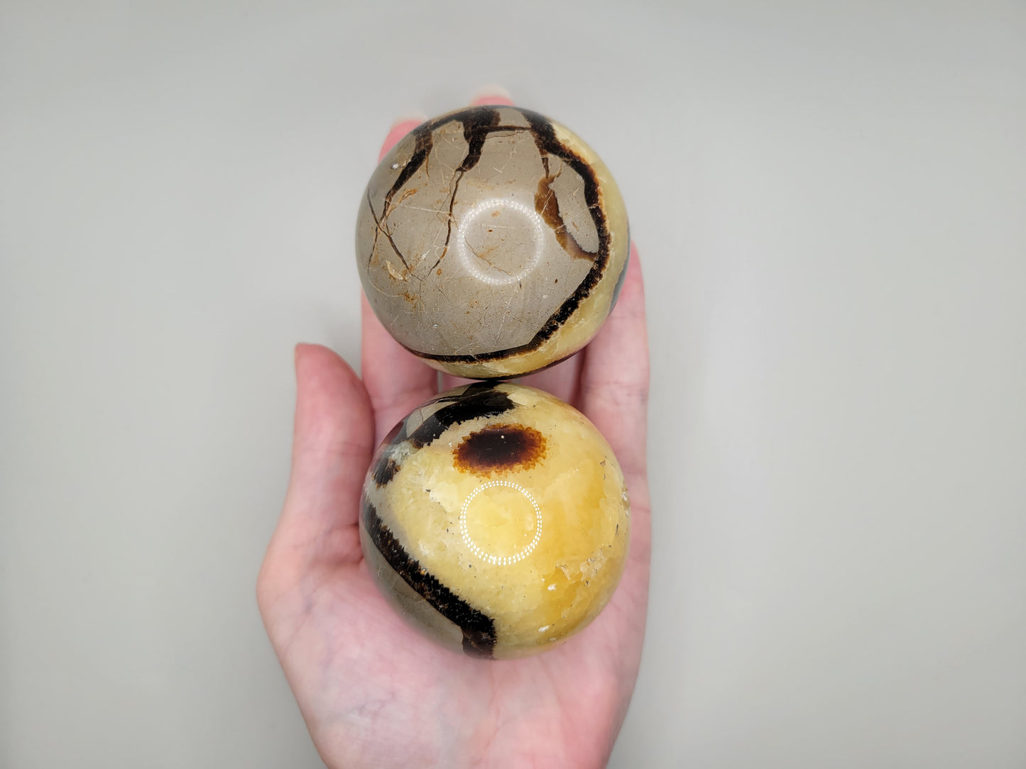 Septarian Spheres