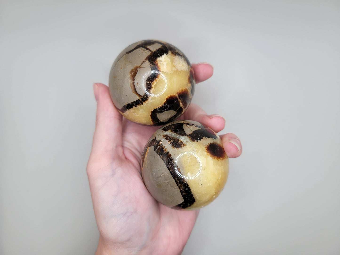 Septarian Spheres