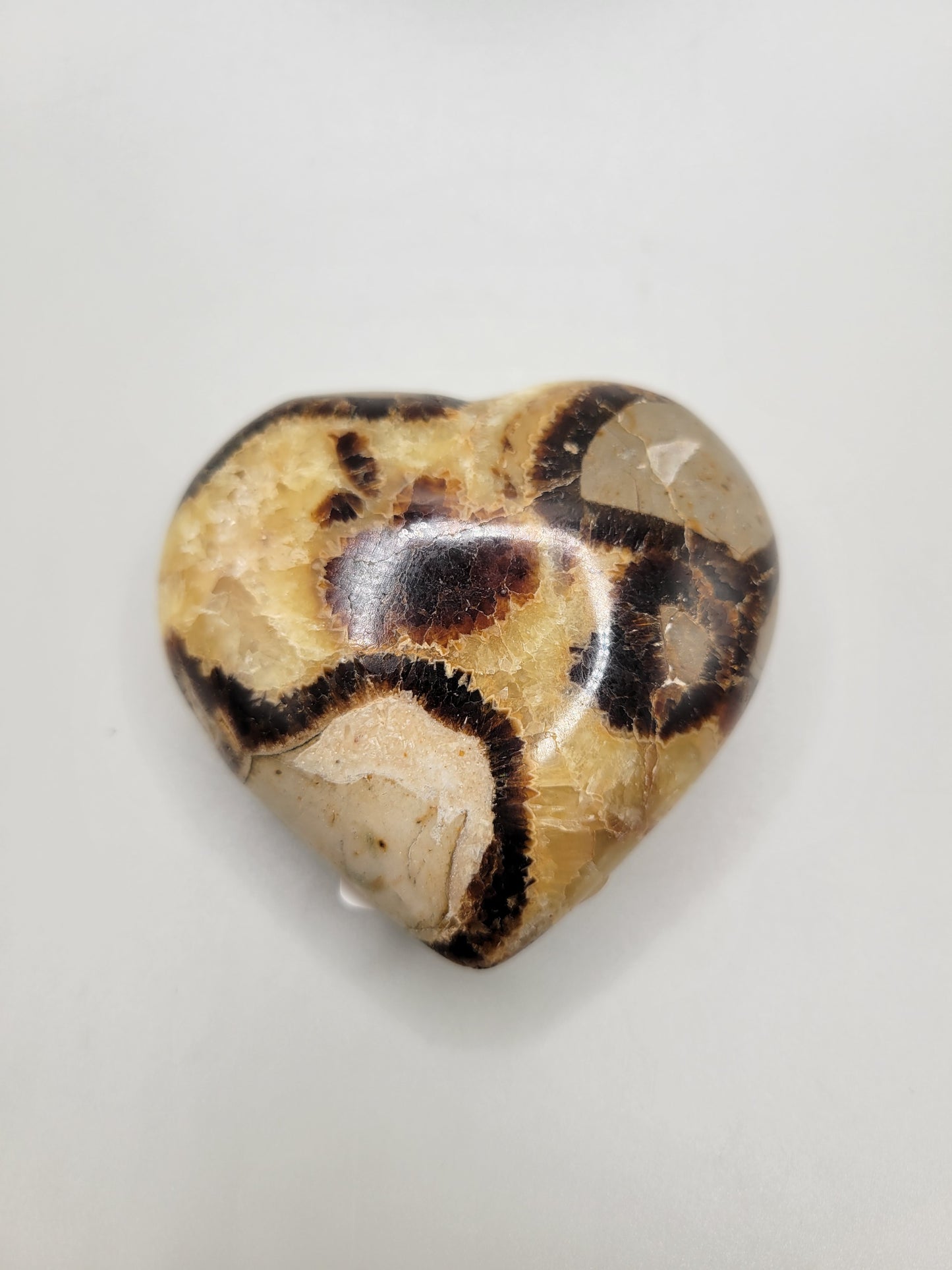 Septarian Heart