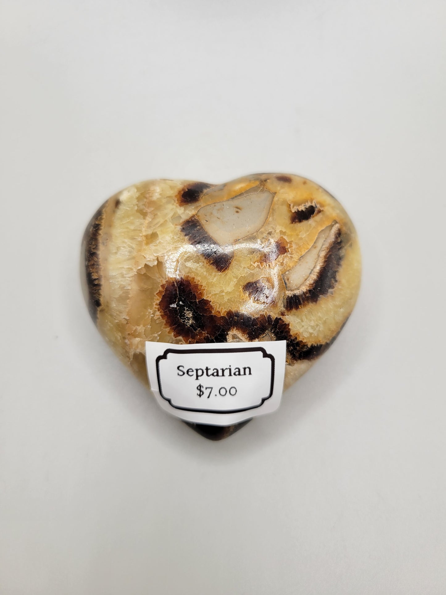 Septarian Heart