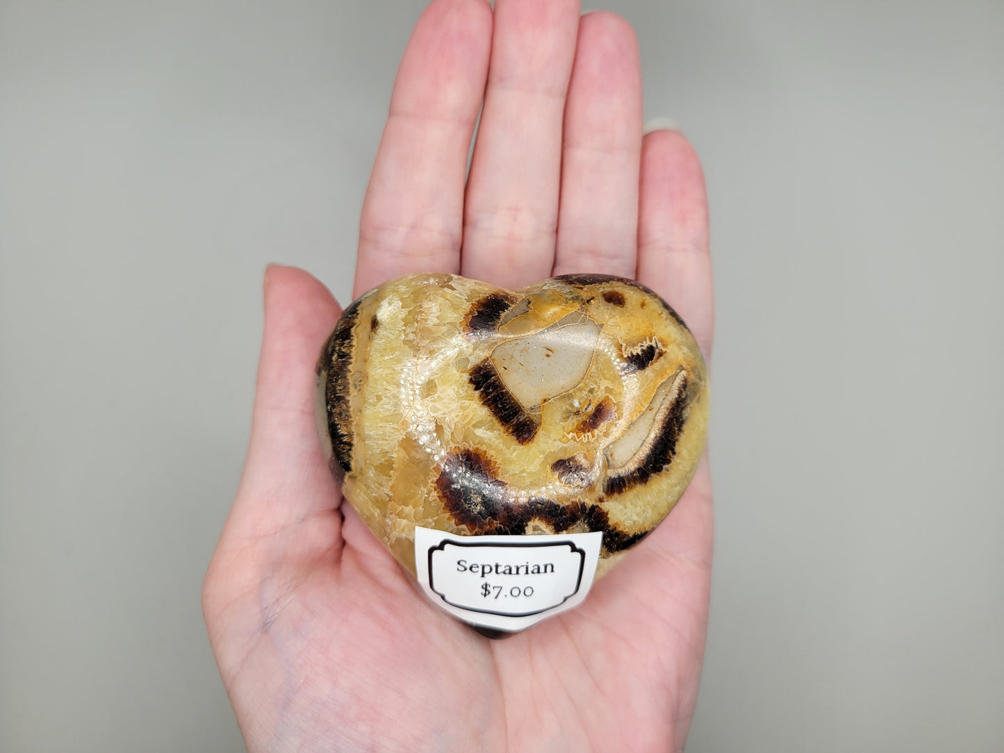 Septarian Heart