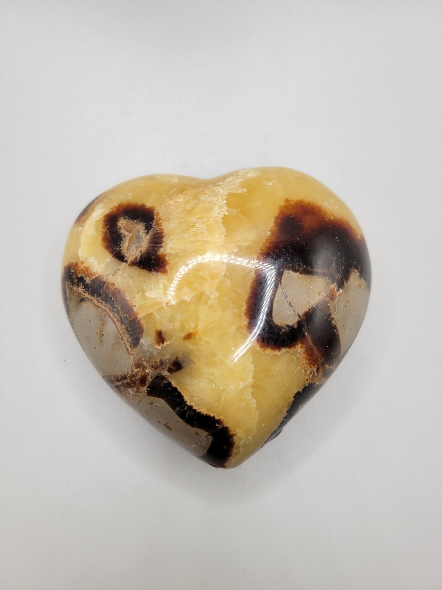 Septarian Heart