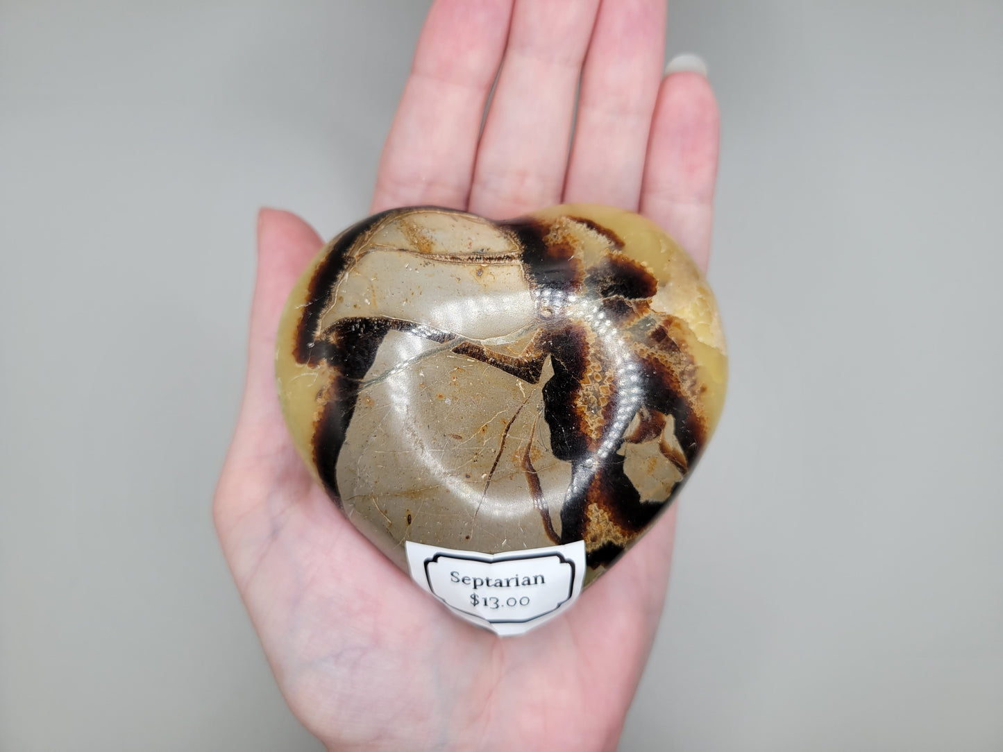 Septarian Heart