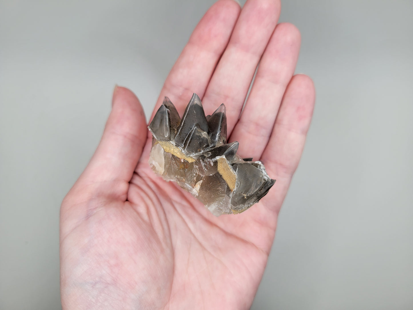 Dogtooth Calcite Cluster
