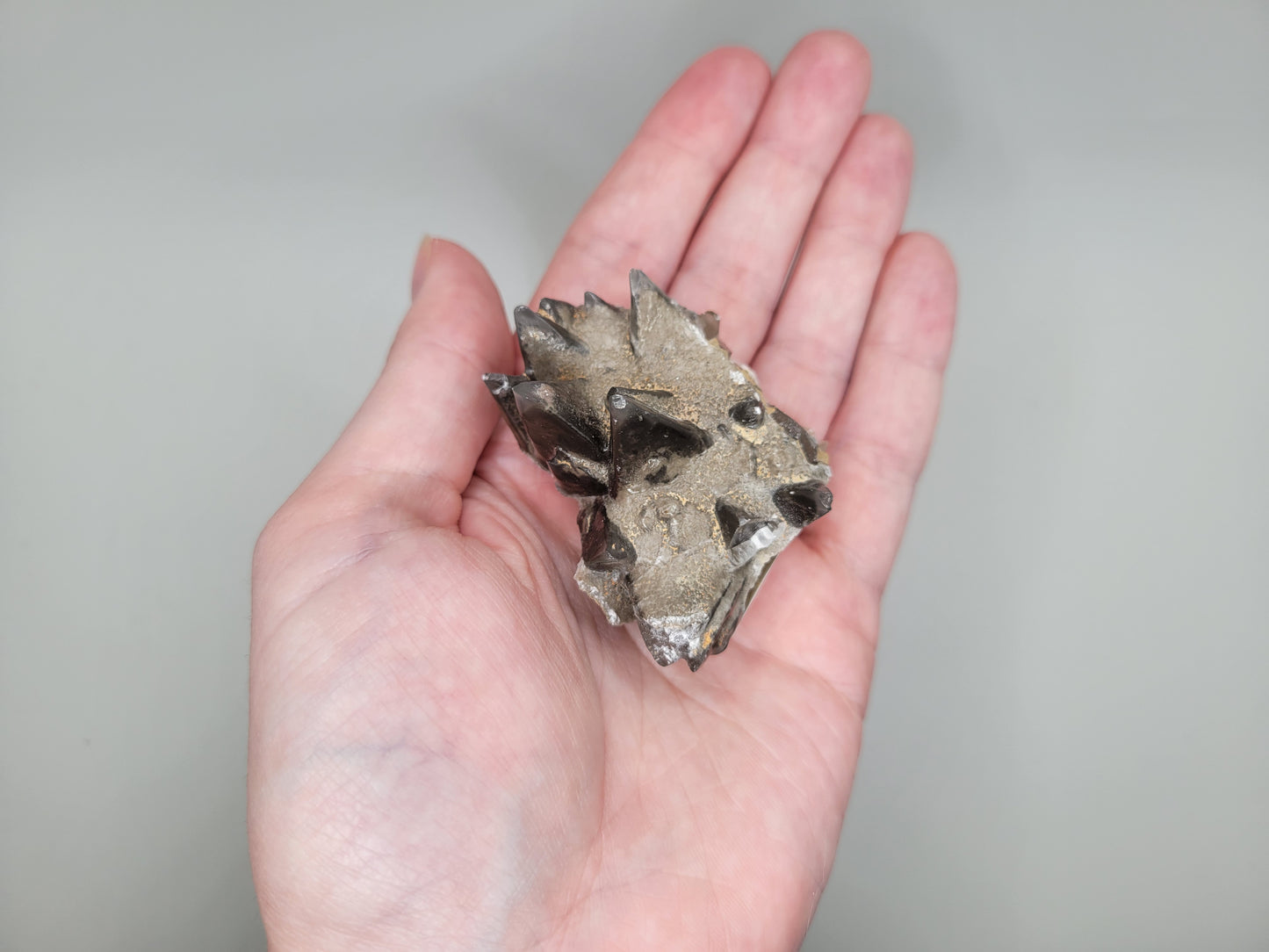 Dogtooth Calcite Cluster