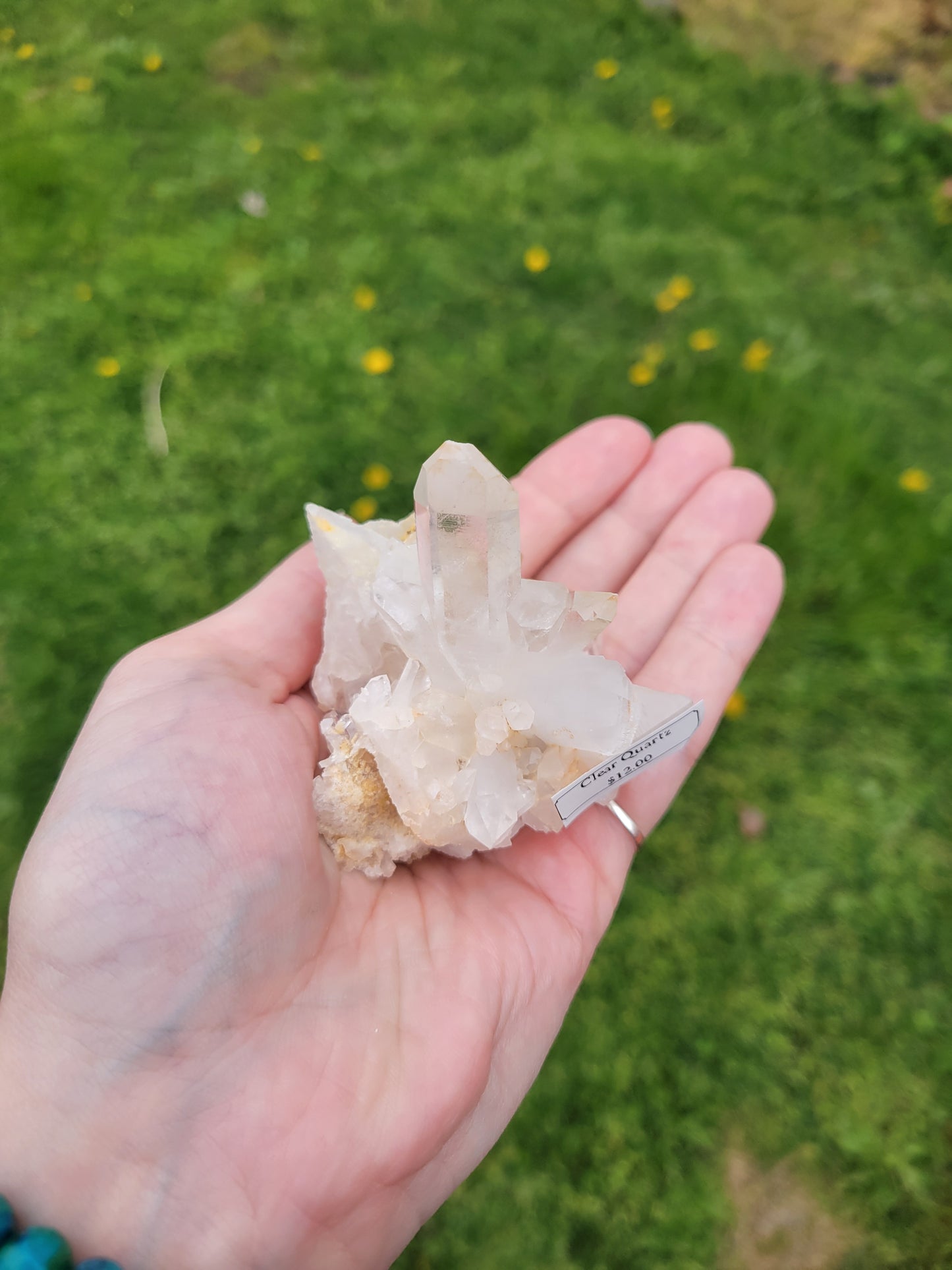 Clear Quartz Cluster