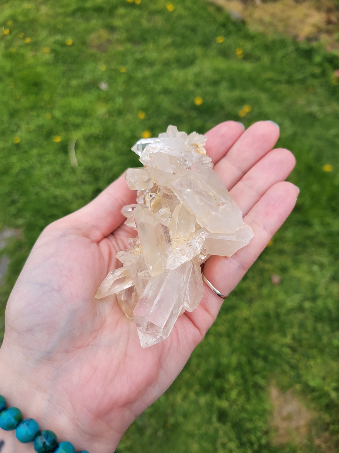 Clear Quartz Cluster