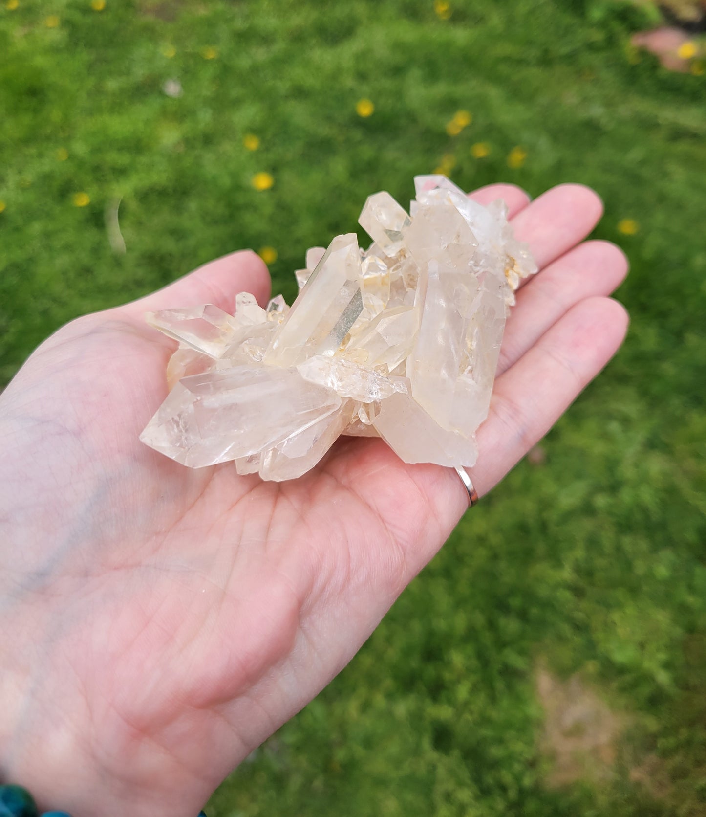 Clear Quartz Cluster