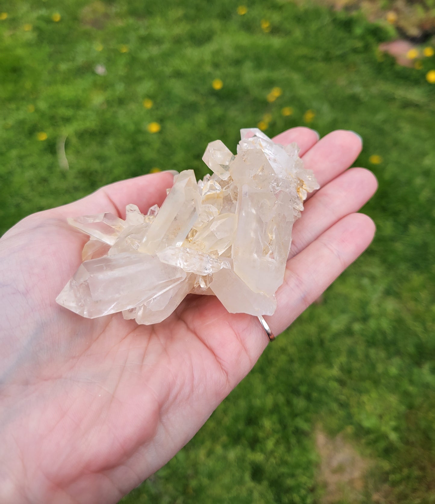 Clear Quartz Cluster