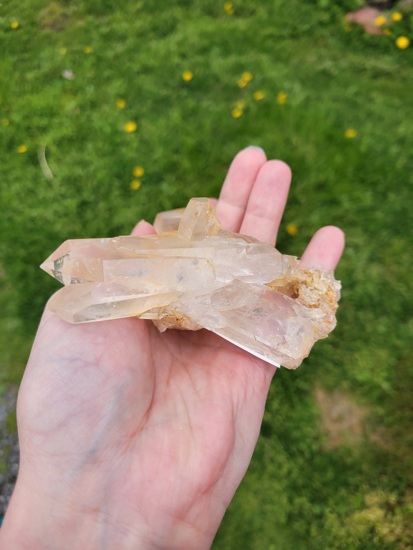 Clear Quartz Cluster