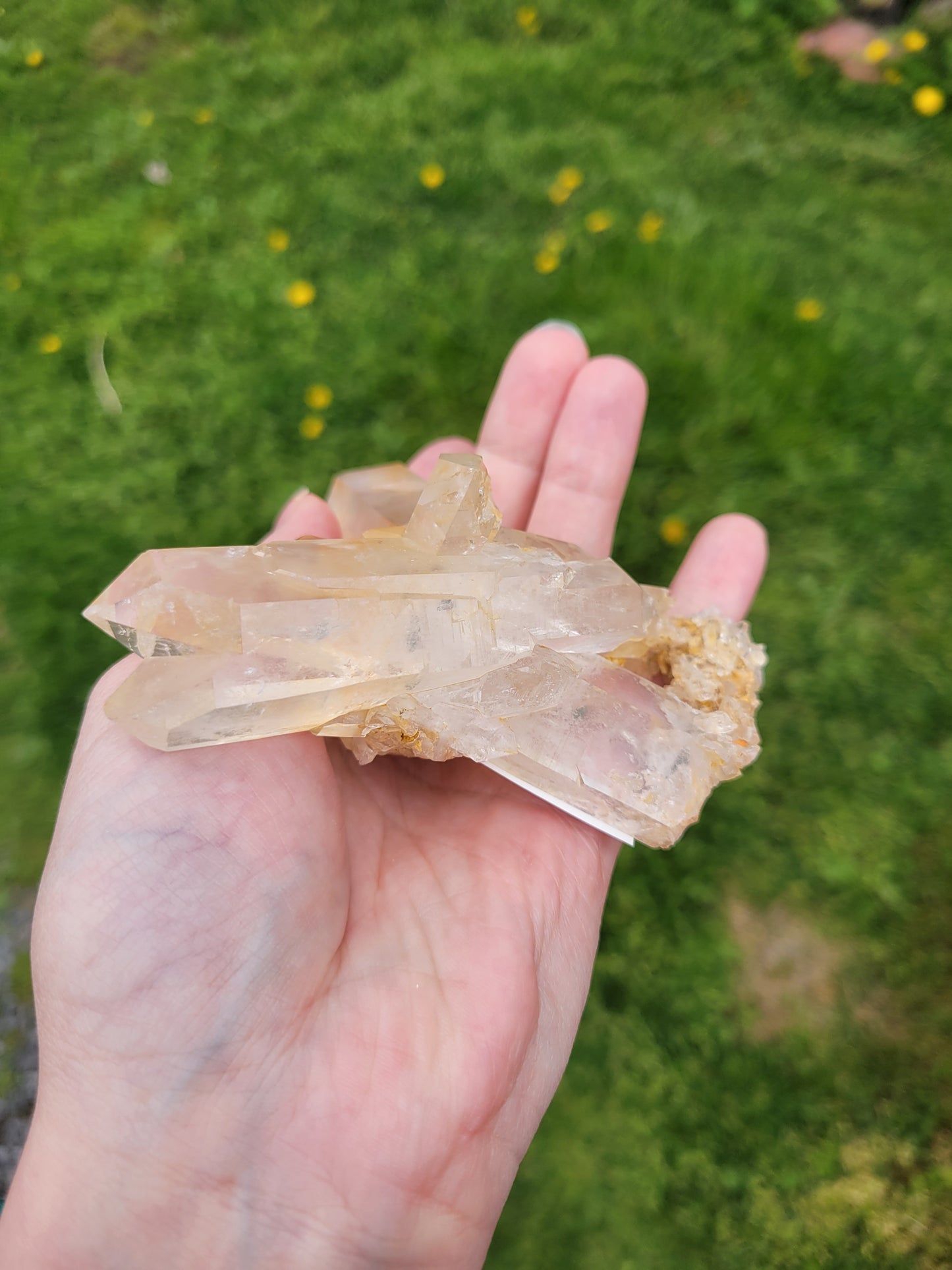 Clear Quartz Cluster