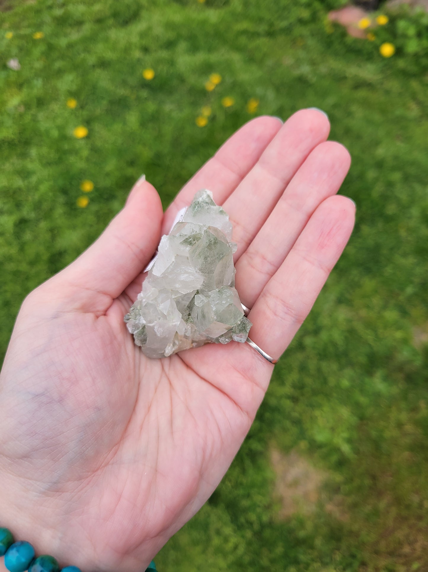 Chlorite Quartz
