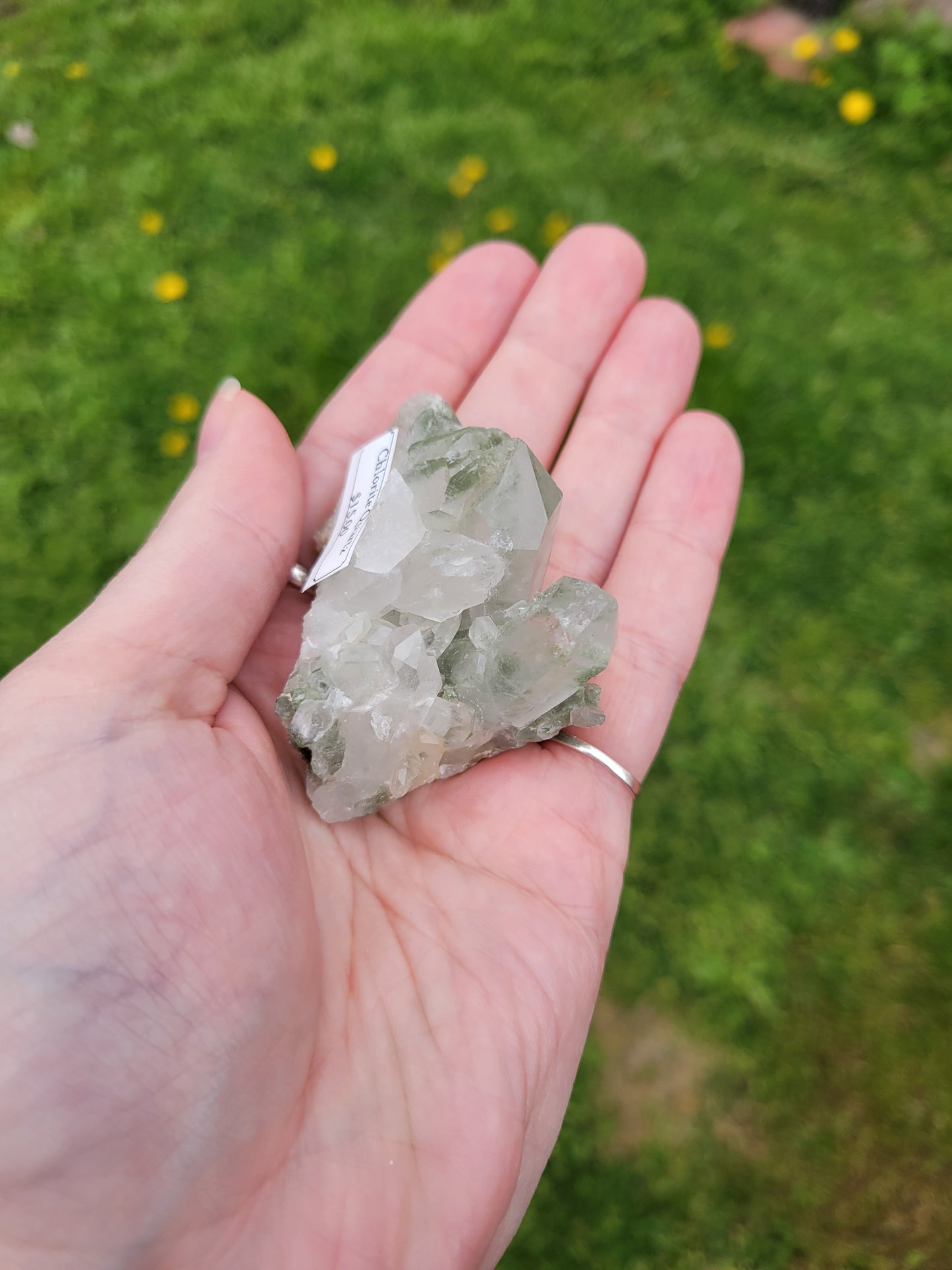 Chlorite Quartz
