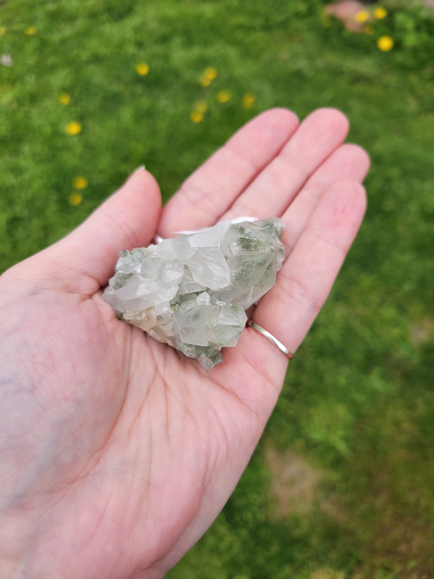Chlorite Quartz