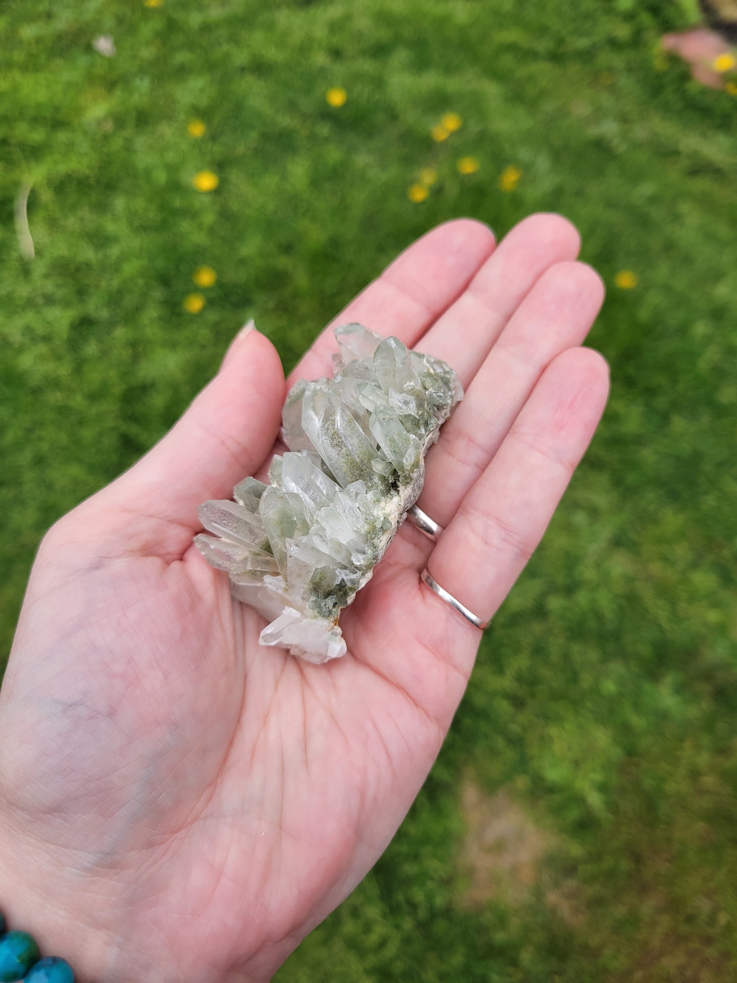 Chlorite Quartz