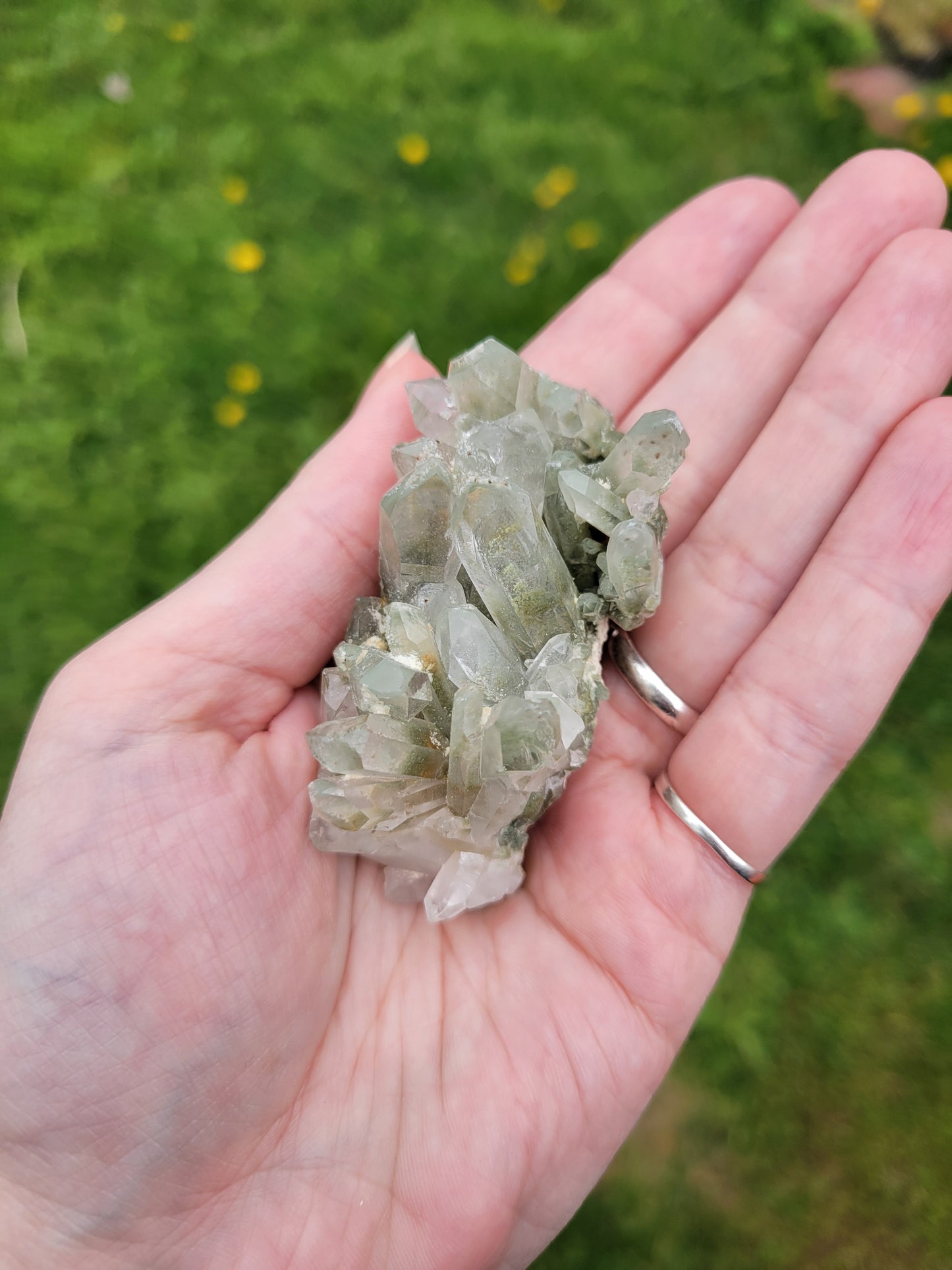 Chlorite Quartz