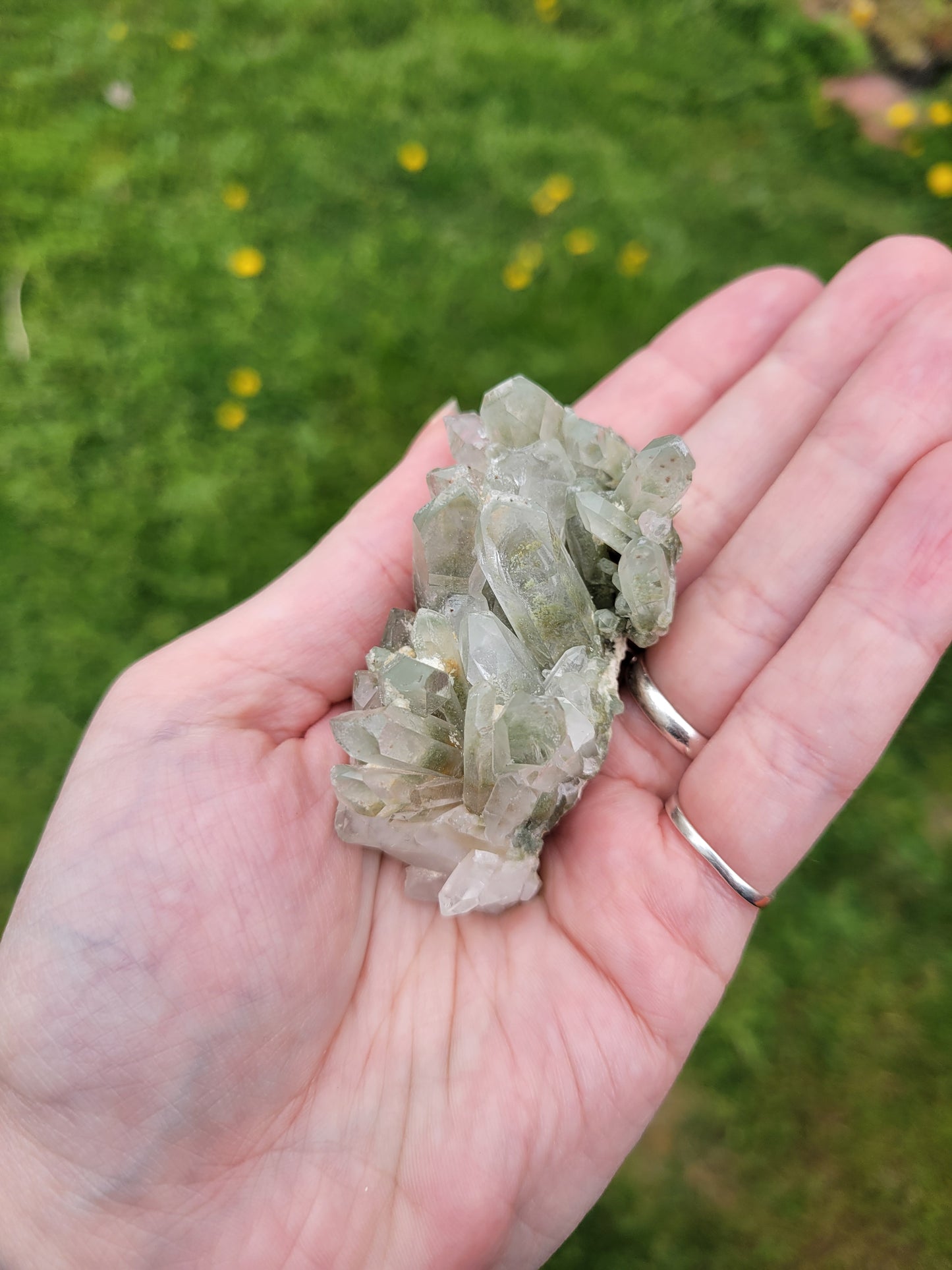 Chlorite Quartz